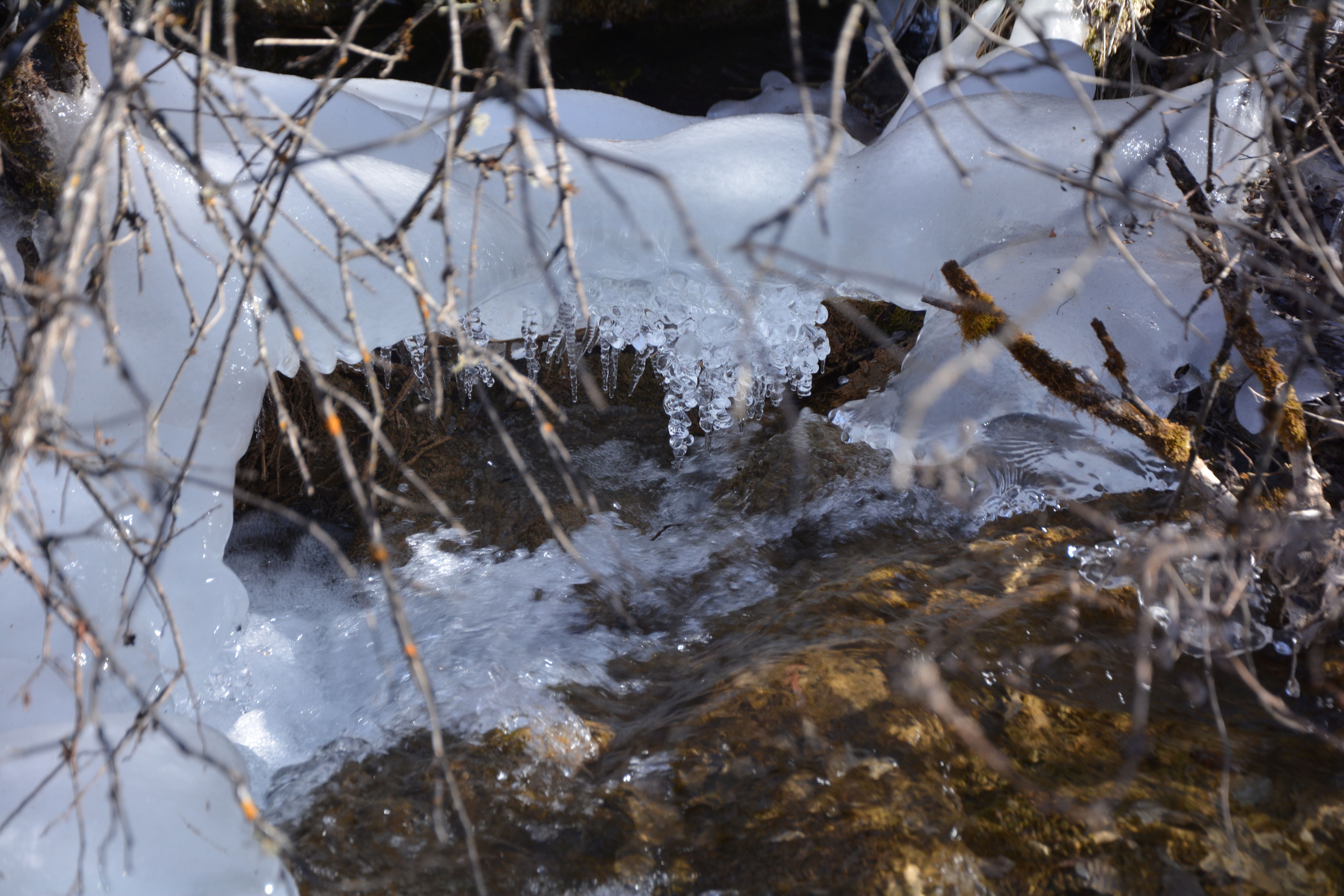 箭竹海瀑布，在背阴处可以看到晶莹的冰珠