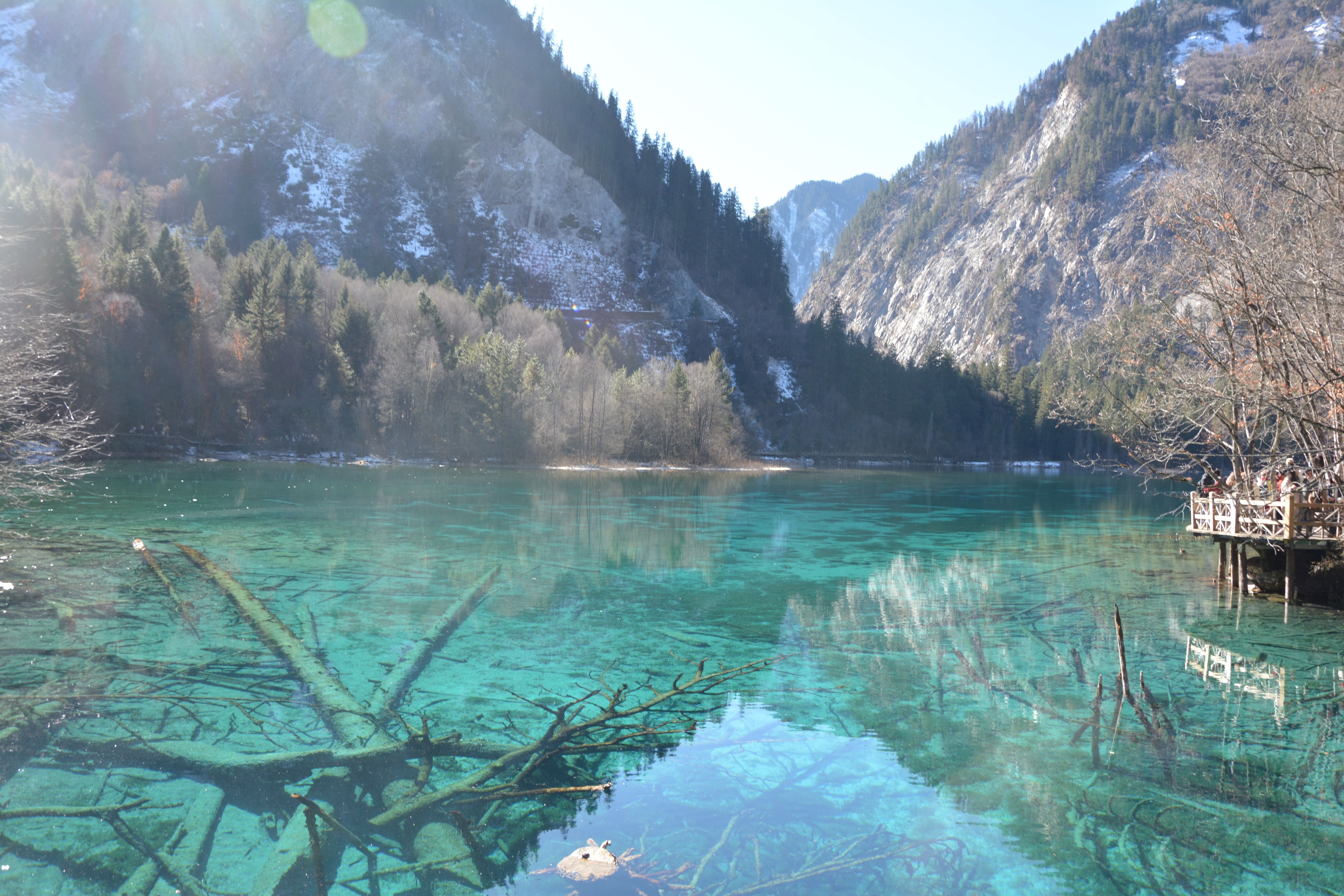 五花海水面清澈，可以清楚看到水底钙化的枯木