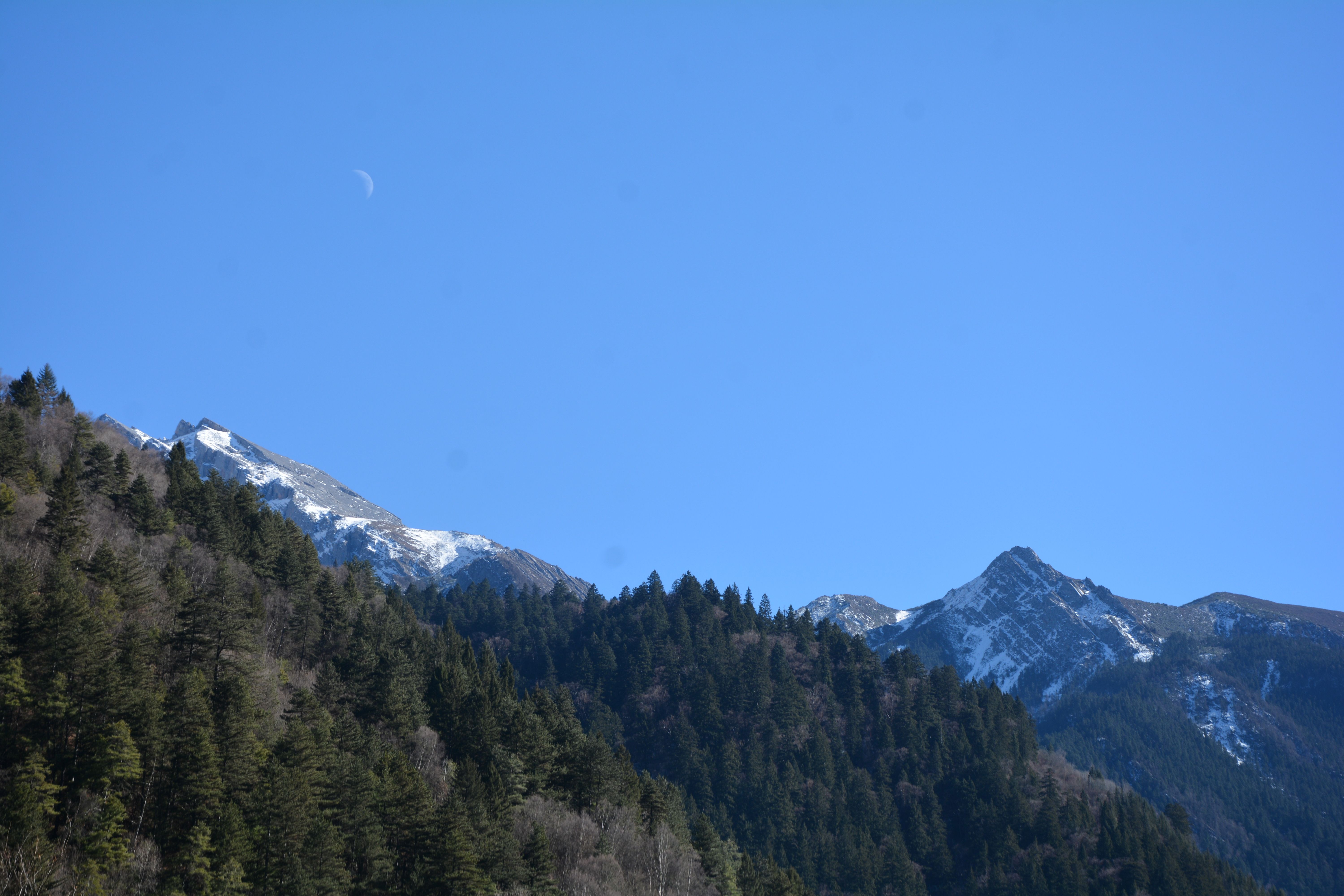 白天可以看到月亮吗？